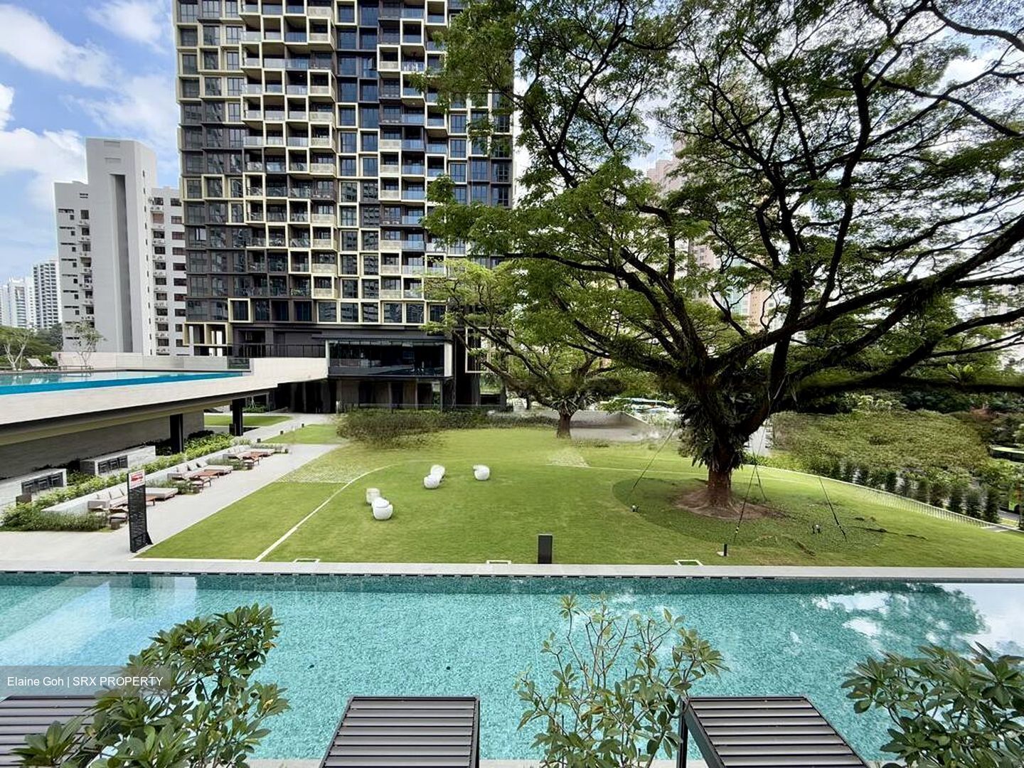 Irwell Hill Residences (D9), Apartment #455055021